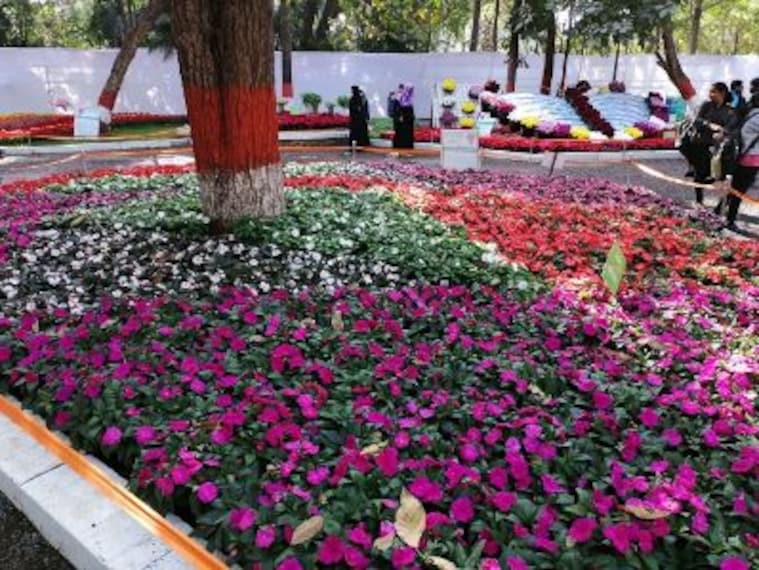 Empress Botanical Garden_2